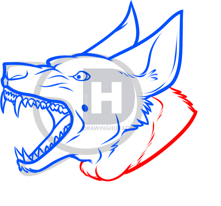 770x720 How To Draw A Guard Dog, Step