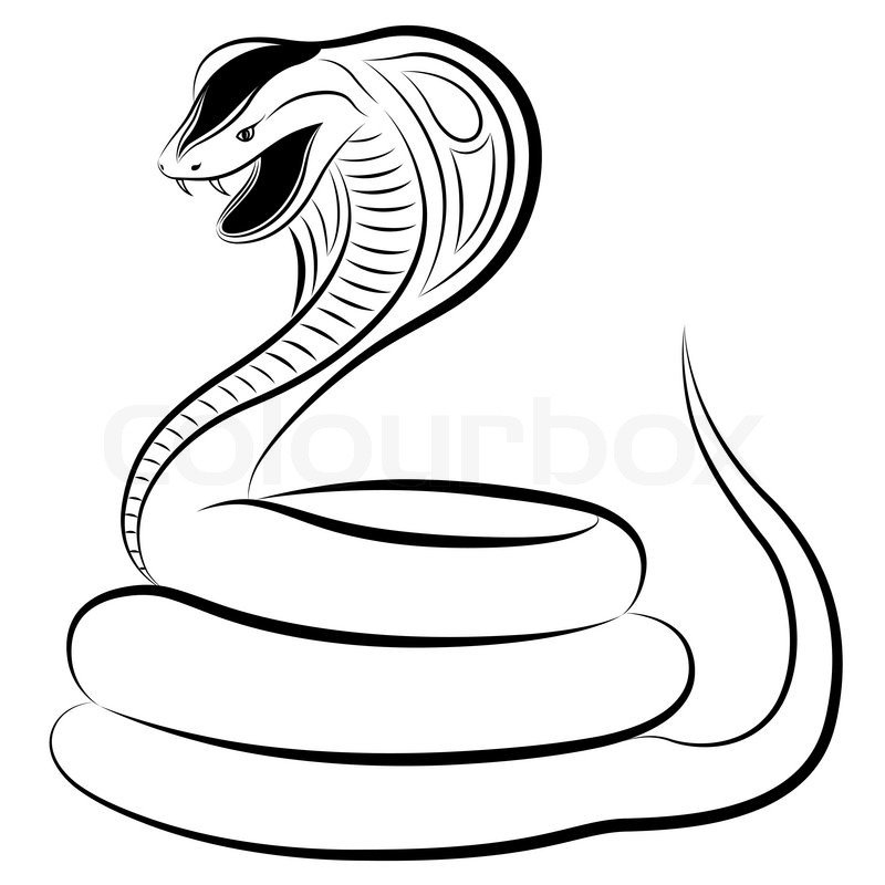 800x800 Snake Drawing Evil For Free Download