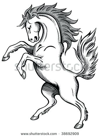 342x470 Black And White Horse Drawings Black And White Horse Head Drawings