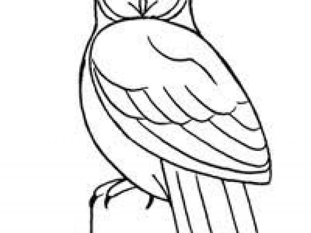 Evil Owl Drawing | Free download on ClipArtMag