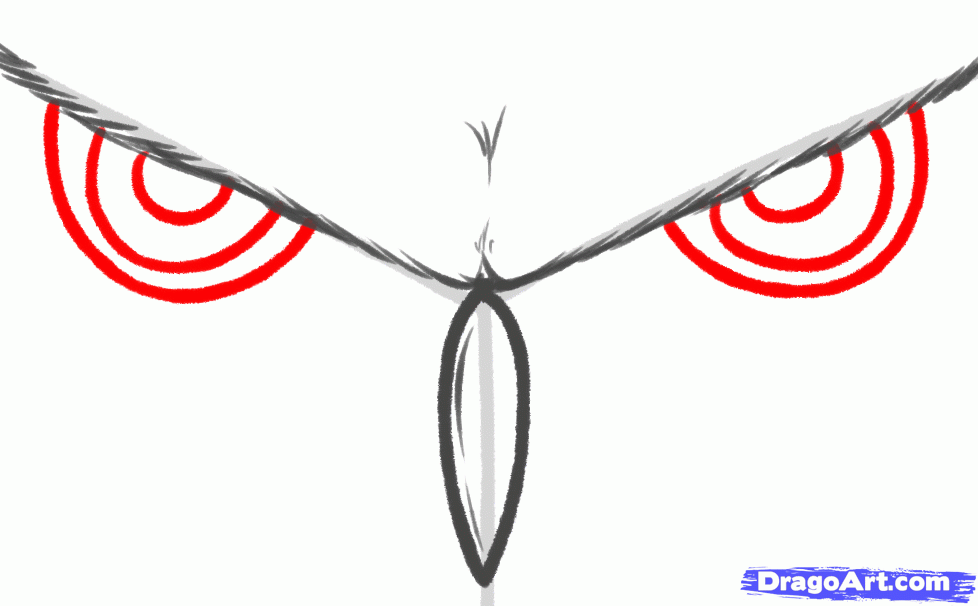 978x606 How To Draw Owl Eyes, Draw An Owl Face, Step