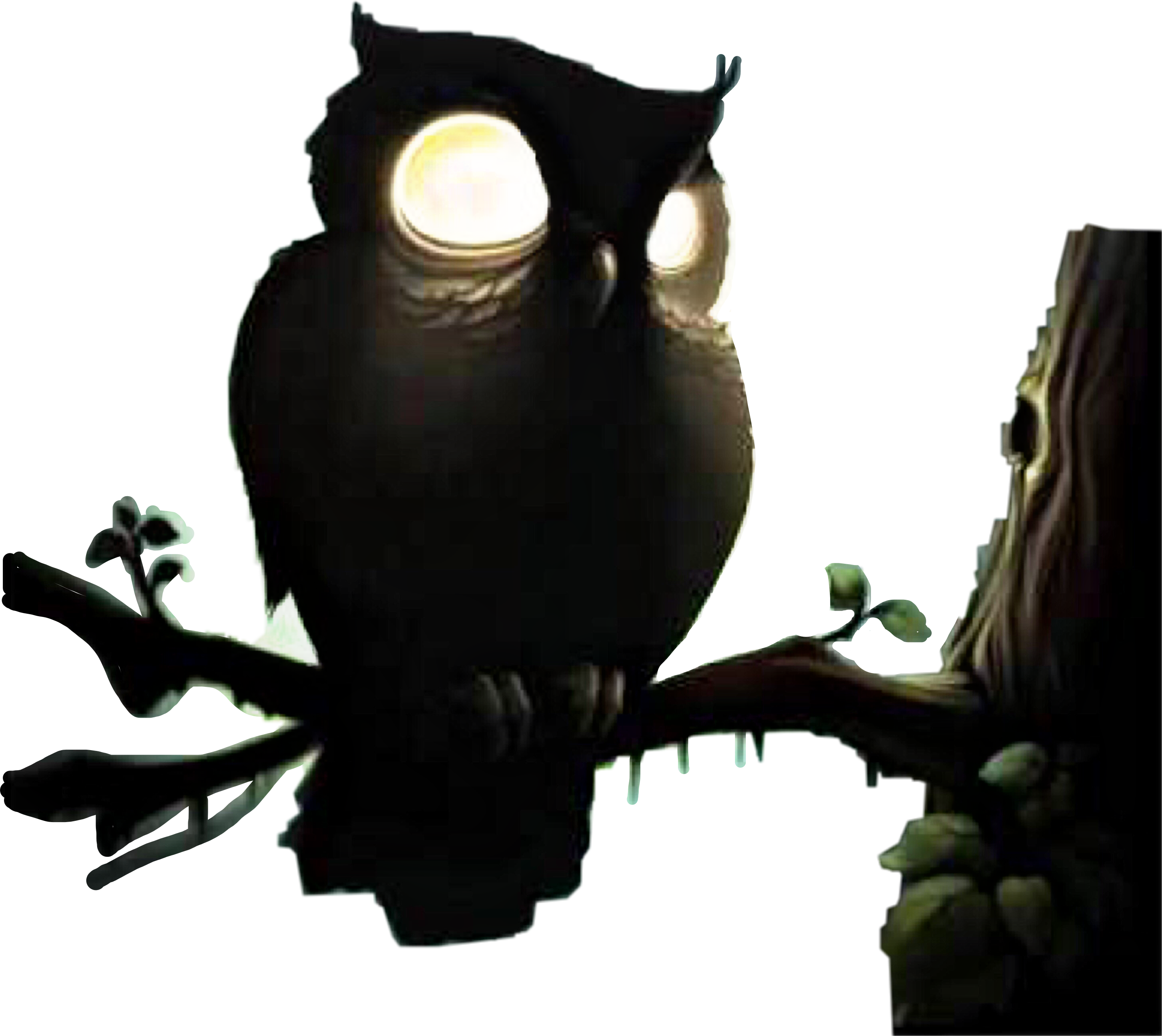2907x2591 Owl Halloween Camping Scary Night Evil Watchingyou Whoo