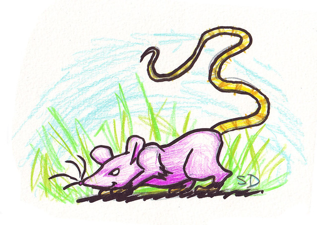 639x455 Evil Rat Drawing Dibujos Para Colorear