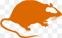 260x160 Evil Rat Png