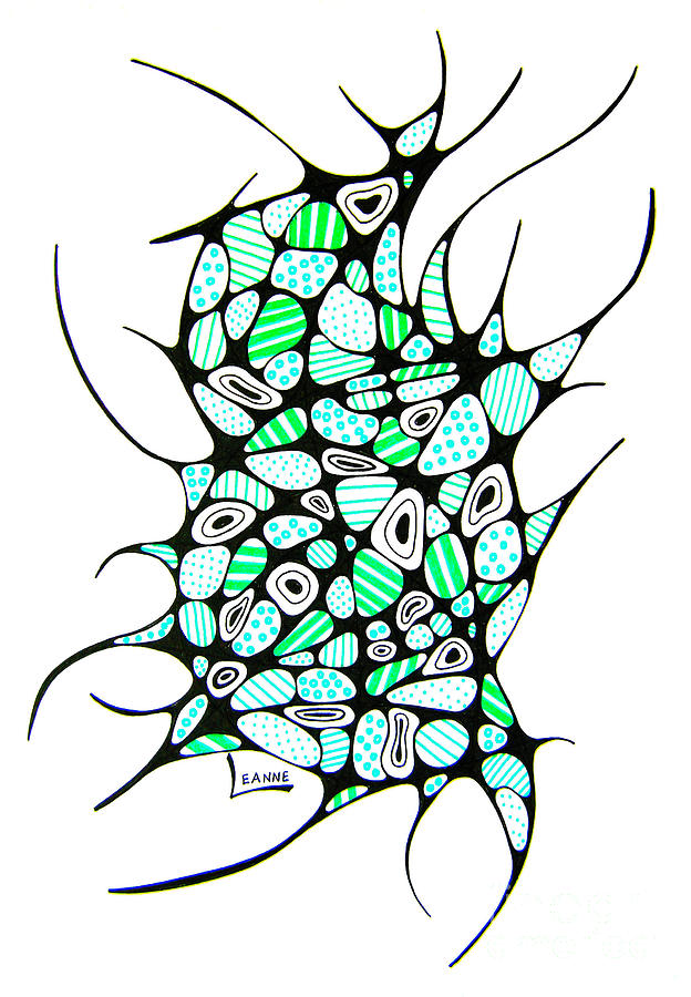 624x900 Evolution Drawing