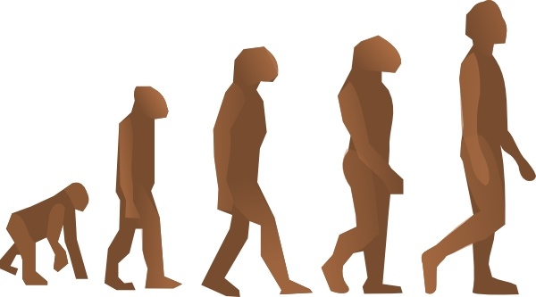 600x333 Evolution Steps Clip Art Free Vector In Open Office Drawing