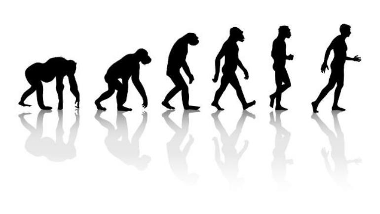 770x433 Darwin Day Why Charles Darwin's Theory Of Evolution Is Still