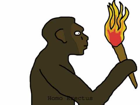 480x360 Evolution Of Man