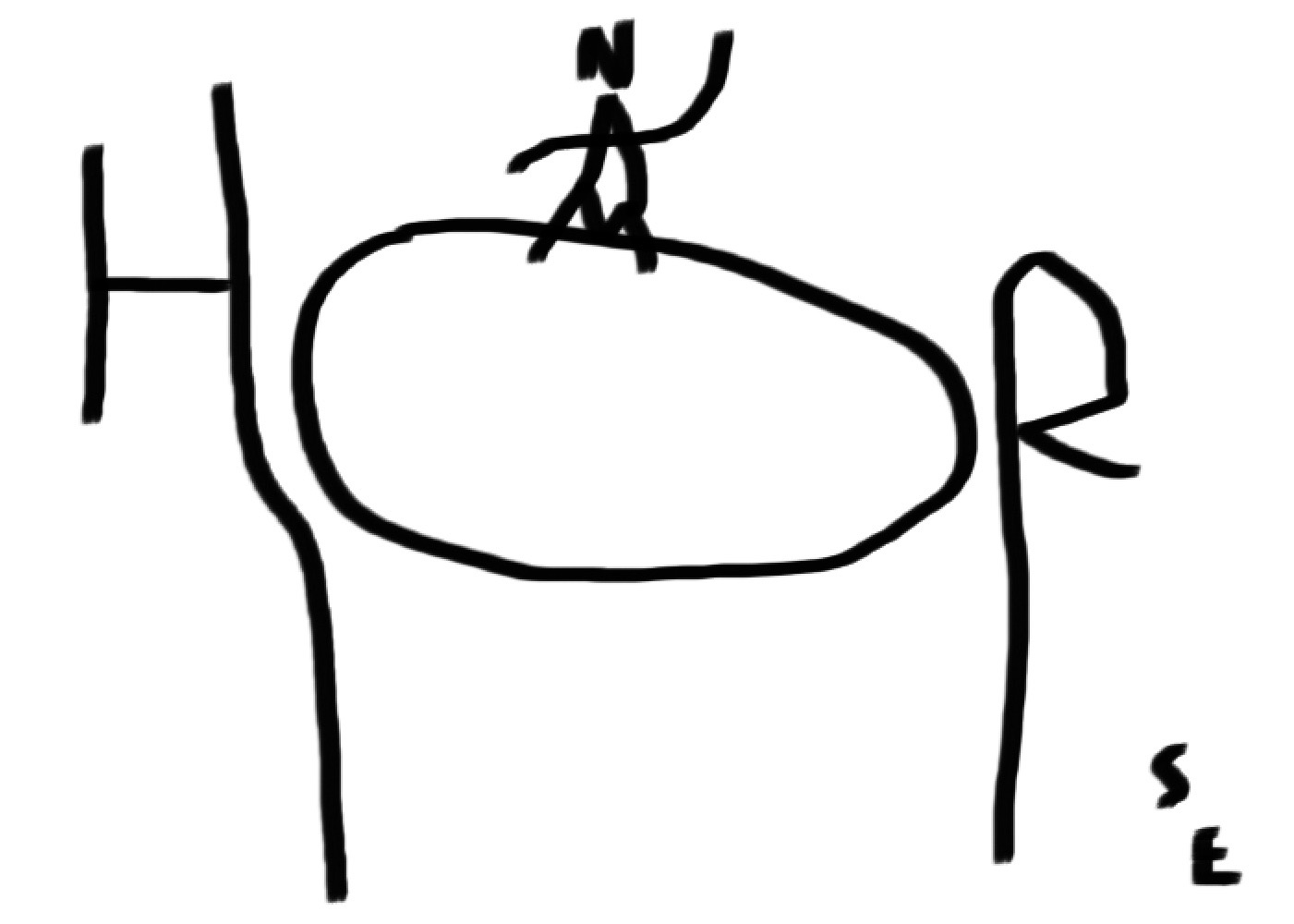 1401x1000 Evolution Of A Horse Drawing