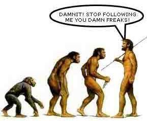 289x239 Human Evolution