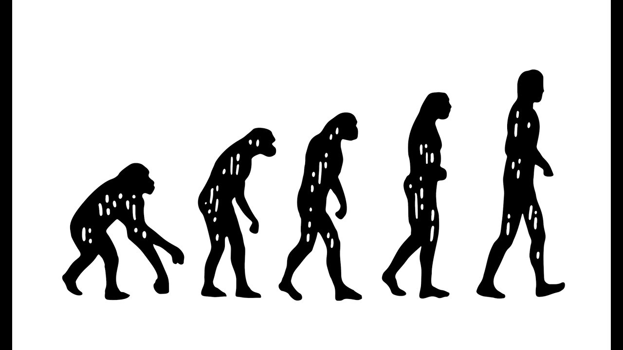 1280x720 What Is Darwin's Theory Of Evolution