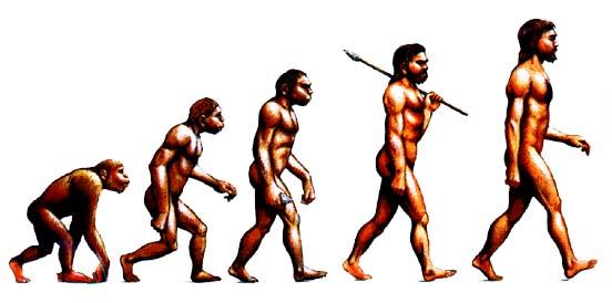 552x274 You Don't Have To Have A Ph D ! Evolution