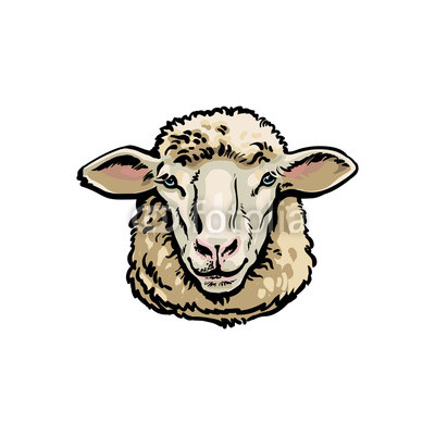 400x400 Front View Sketch Style Portrait Of Domestic Farm Sheep, Vector