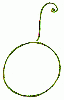 218x342 Exam Guide Online