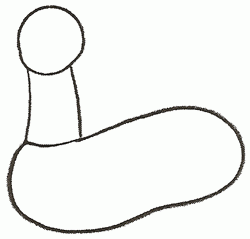 250x239 Exam Guide Online