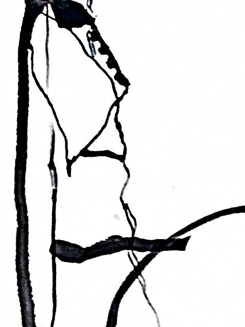 480x640 Charlton Stitcher Experimental Drawing