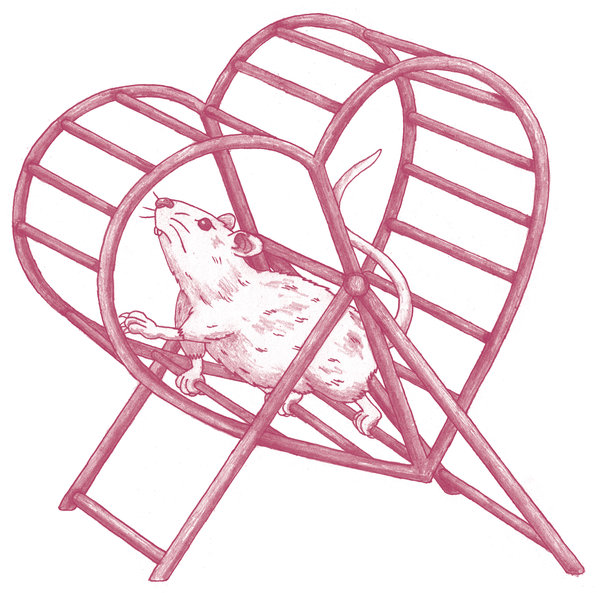 600x593 what young rats' workouts could tell us about the human heart