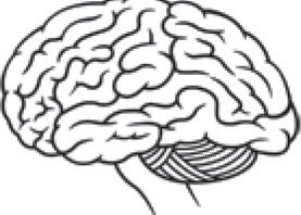 277x198 Why Does Exercise Make Us Feel Good