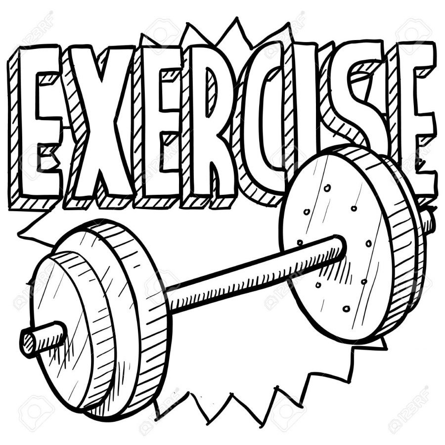 900x900 Gym Drawing Healthy Exercise For Free Download