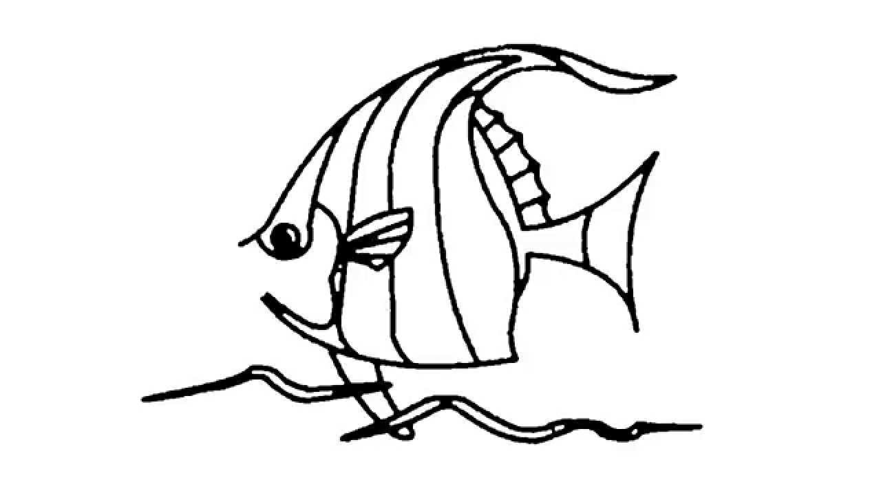 1280x720 How To Draw A Tropical Fish