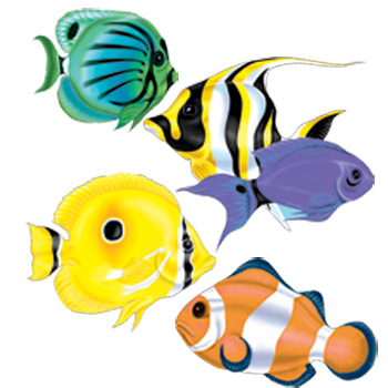 350x350 School Of Tropical Fish Drawing