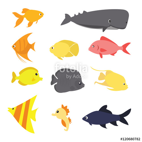 500x500 Fish Icon Set Vector Exotic Sea Creature Color Full Fun Drawing