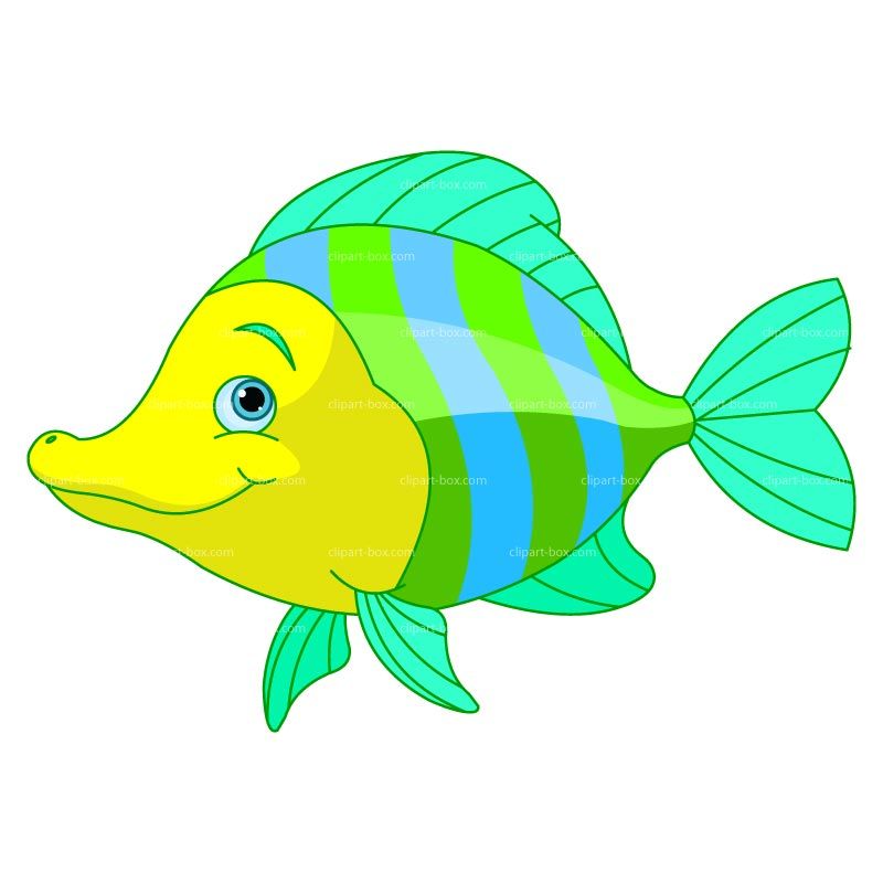 800x800 Clipart Exotic Fish Royalty Free Vector Design Primary