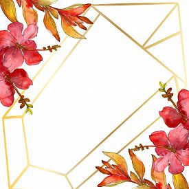 275x275 Drawings Flowers Photos And Images