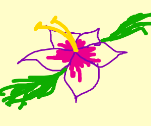 300x250 Exotic Flower
