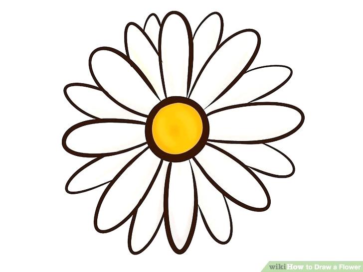 728x546 Flowers Drawn Hand Drawn Botanical Art Isolated On White