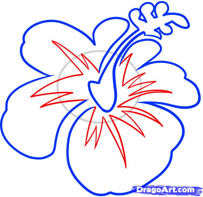 672x652 How To Draw A Hawaiian Flower, Step