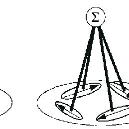 259x259 simple template model of optic flow processing an expansion cell