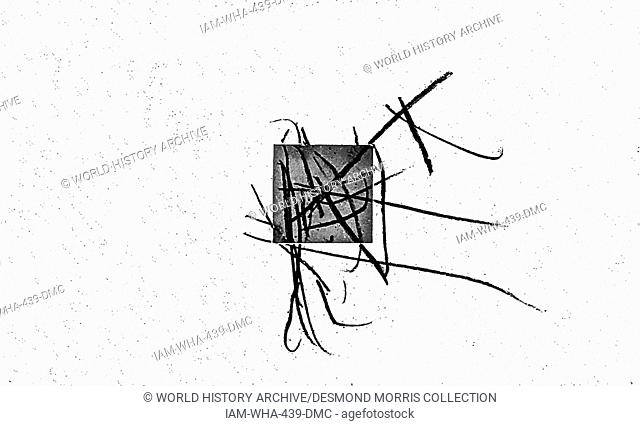 640x426 experimental drawing