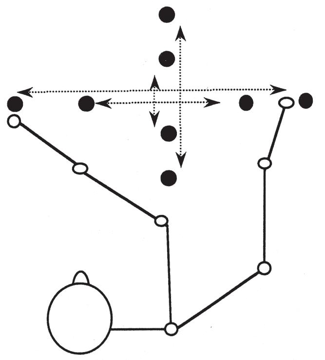 667x739 schematic drawing of the experimental task