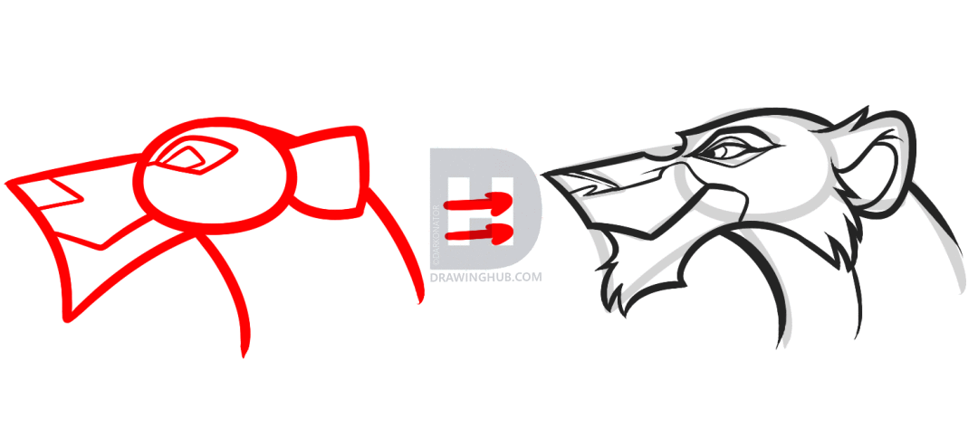 1080x493 How To Draw Zira, Zira From The Lion King, Step