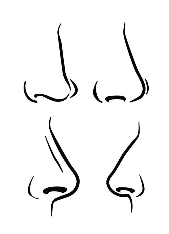 589x814 how to draw expressive noses made