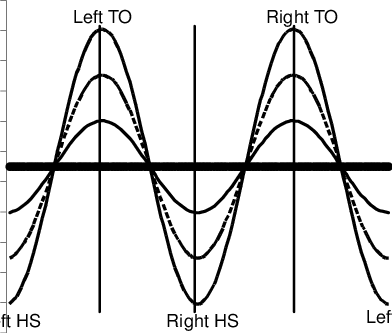 392x333 external load curves hs heel strike, to toe off download