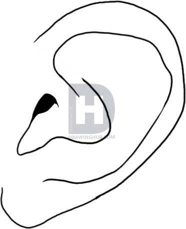 372x458 How To Draw An Ear, Step