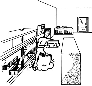 392x369 intrusion detection systems