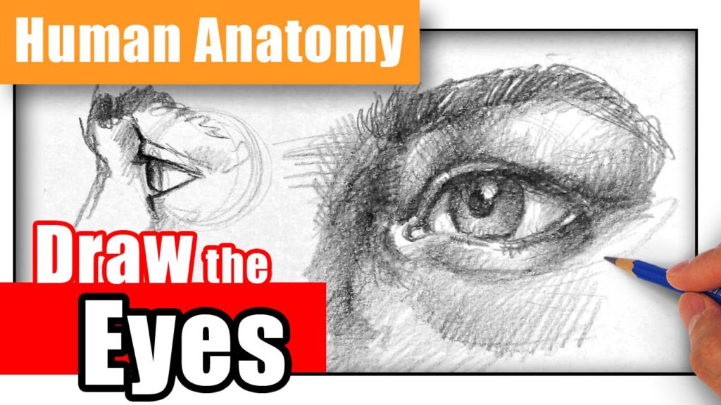 1024x576 How To Draw The Eye