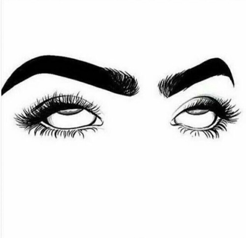 500x483 Drawing Images