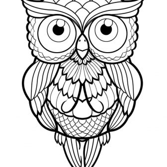 336x336 Owl Drawing Color Cartoon Eyes Cute Outline Line Sketches I