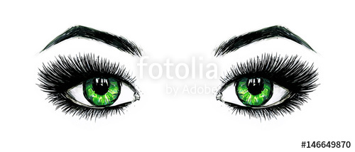 500x214 Beautiful Open Female Green Eyes With Long Eyelashes Is Isolated