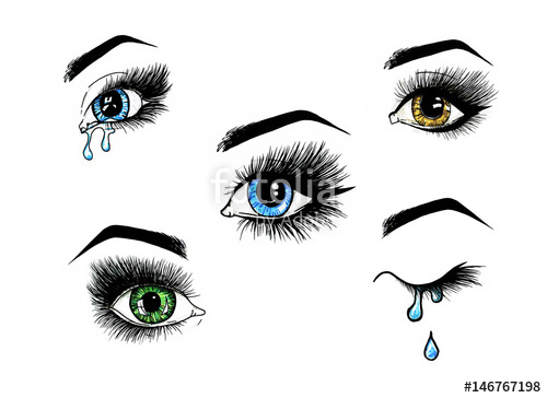 500x364 Beautiful Open Female Eyes Set With Long Eyelashes Is Isolated