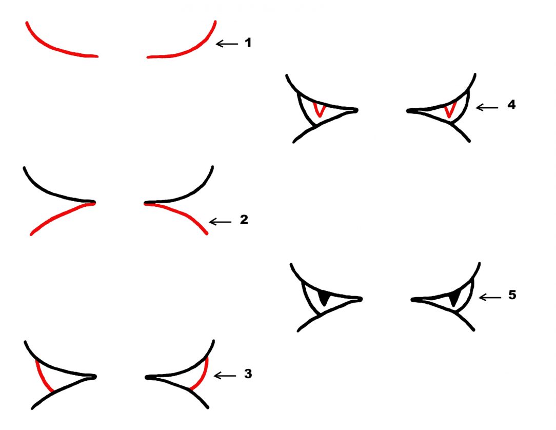 1084x838 Eye Drawings Tumblr Cute Animal Cool Step Draw Realistic Iydunetwork