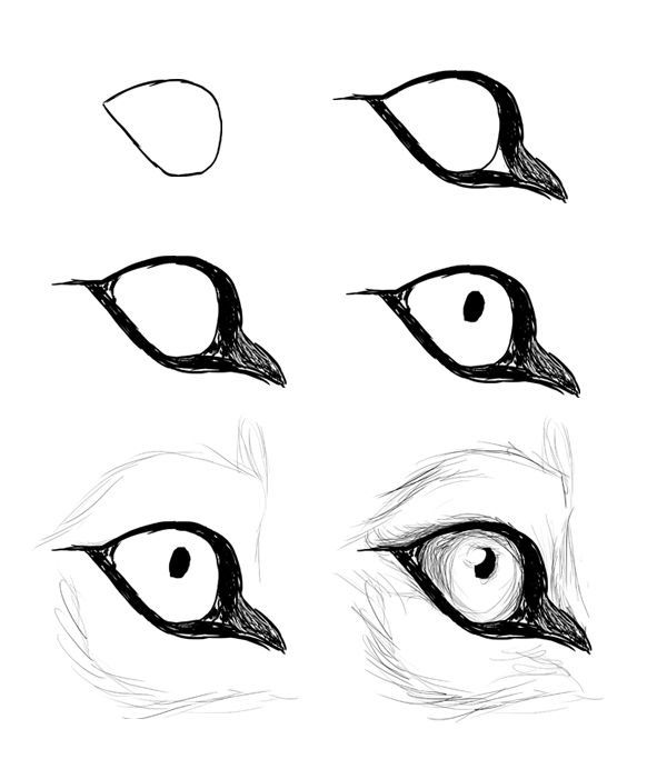 Eye Drawing Tutorial