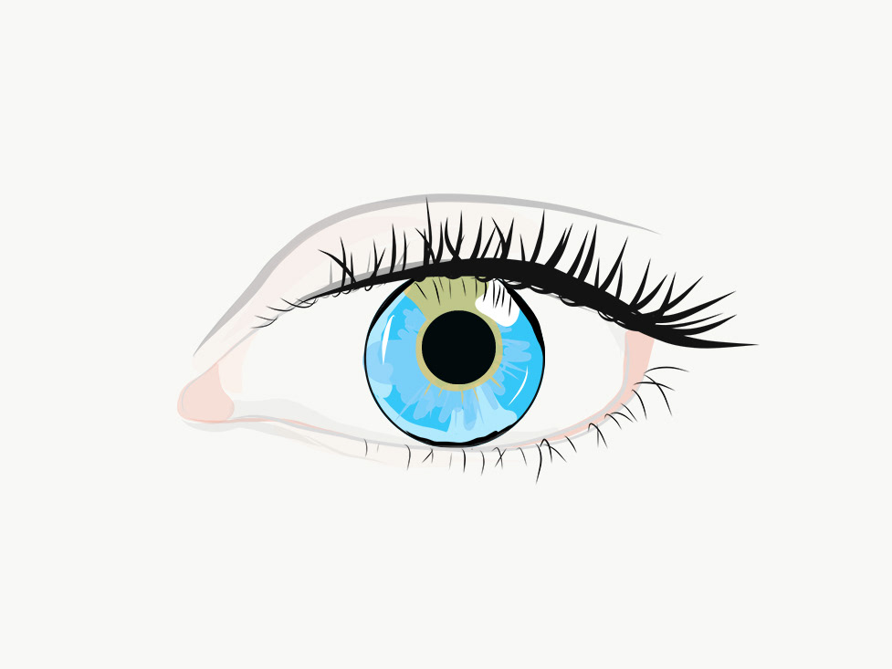 977x733 Victoria Pavlov