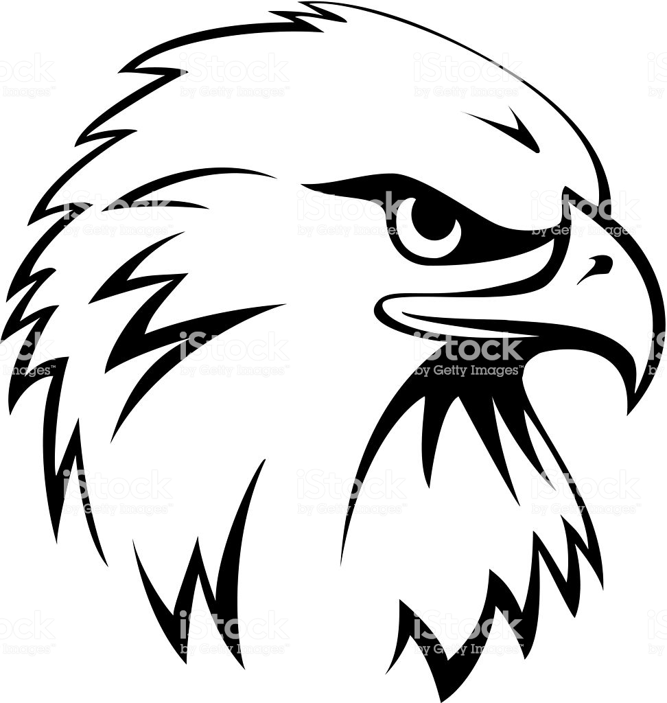 972x1024 Huge Collection Of 'eagle Head Line Drawing' Download More Than