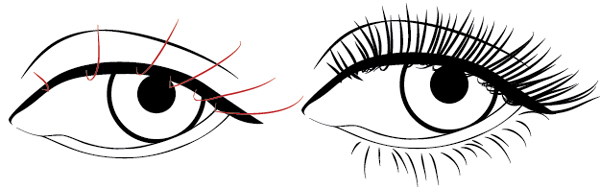 600x188 Creating A Stylish Line Art Portrait With Illustrator