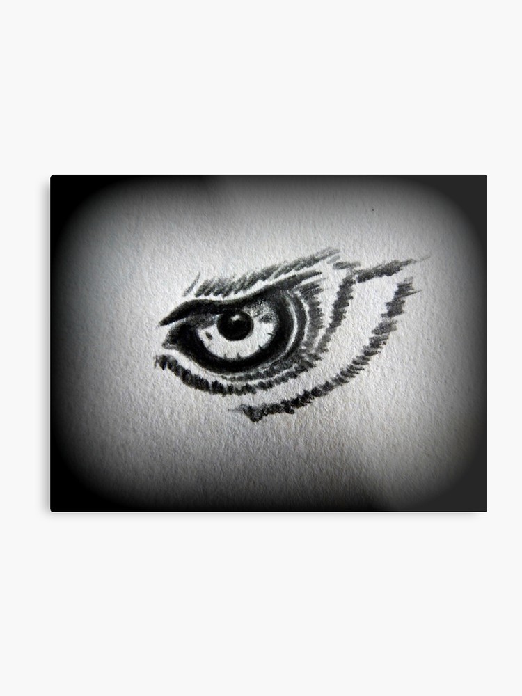 750x1000 Eagle Eye Pencil Drawing Metal Print